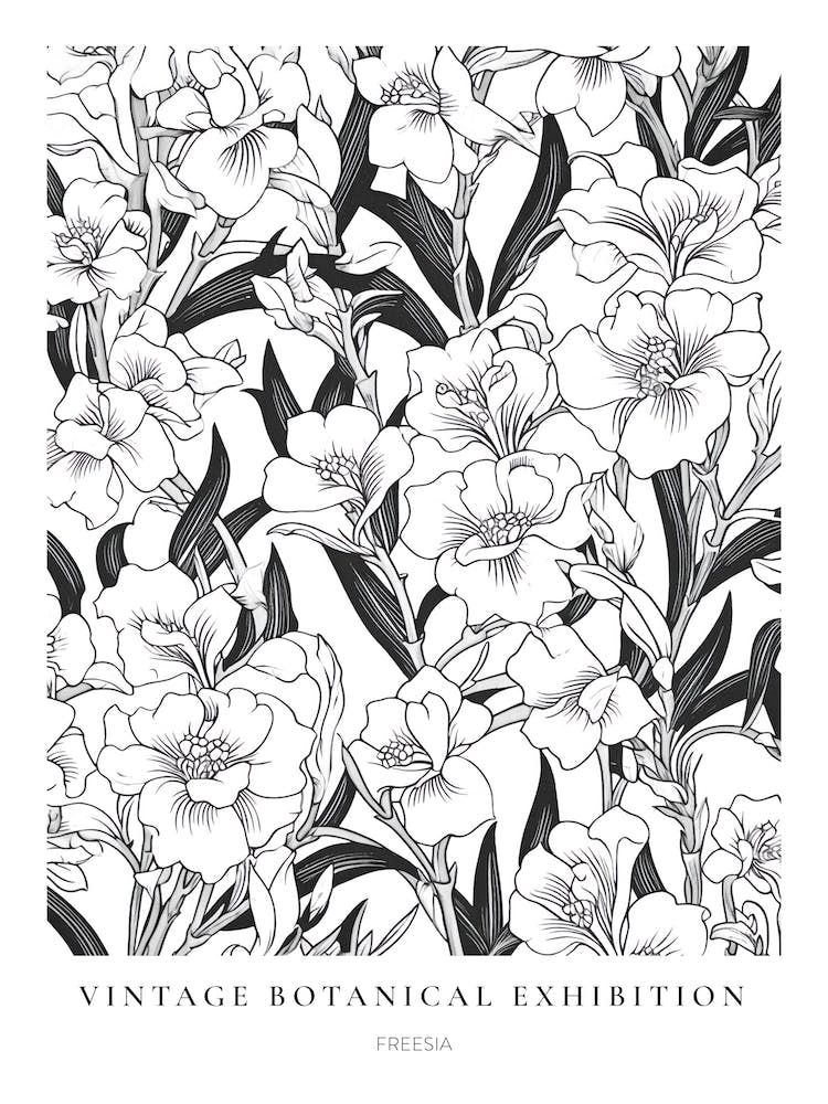Freesia B&W Vintage Botanical Poster