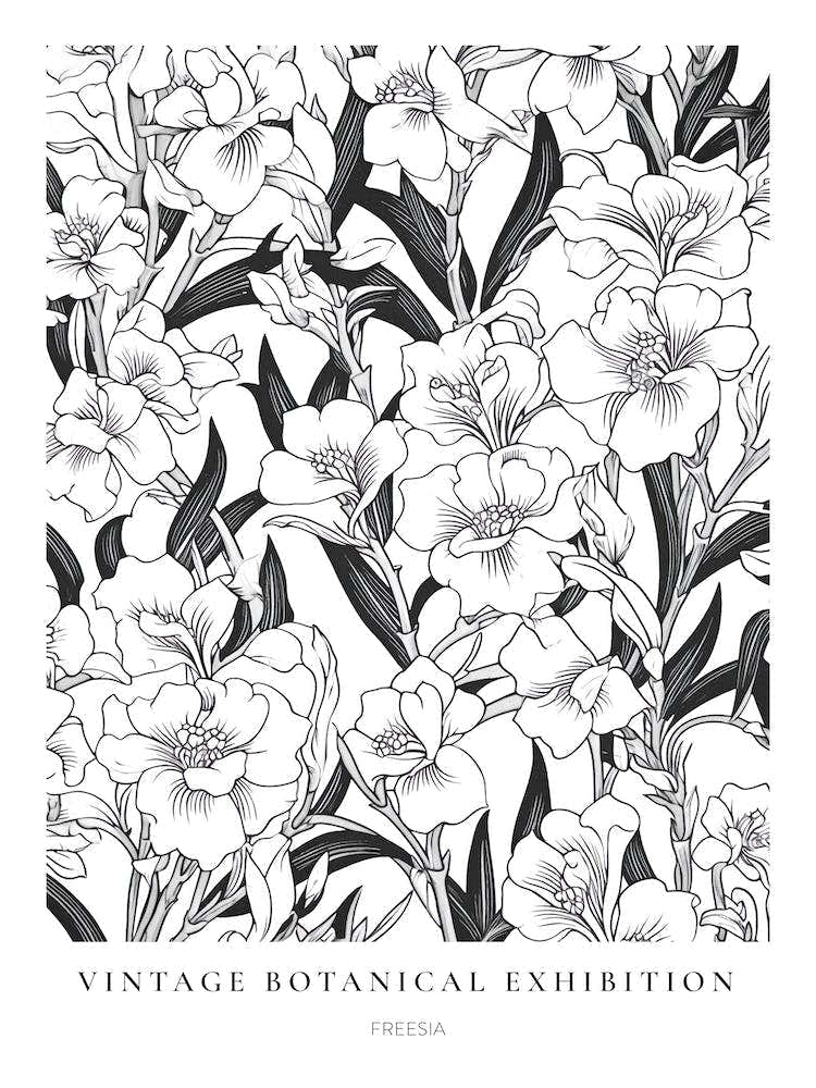 Freesia B&W Vintage Botanical Poster