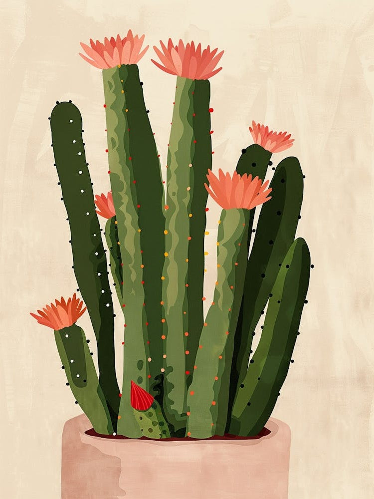 Christmas Cactus Plant Minimalist Illustration 7