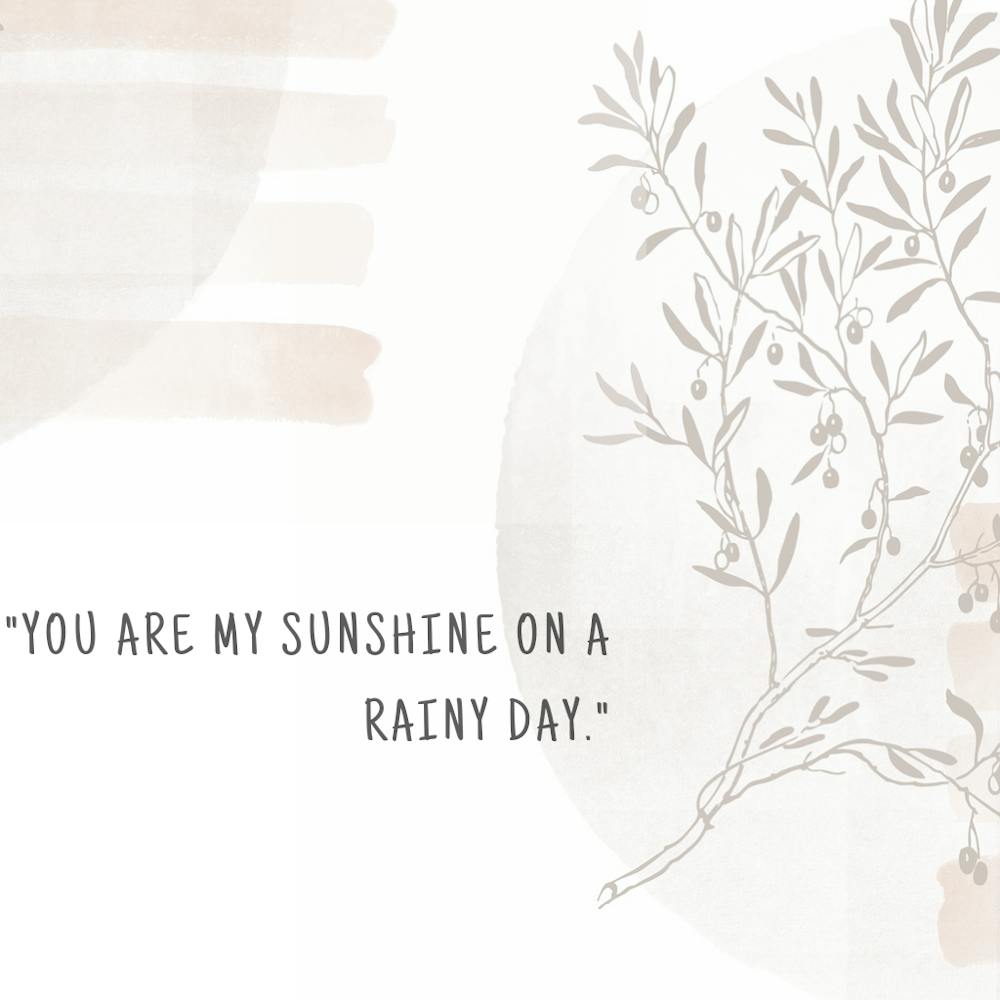 You Are My Sunshine On A Rainy Day 1