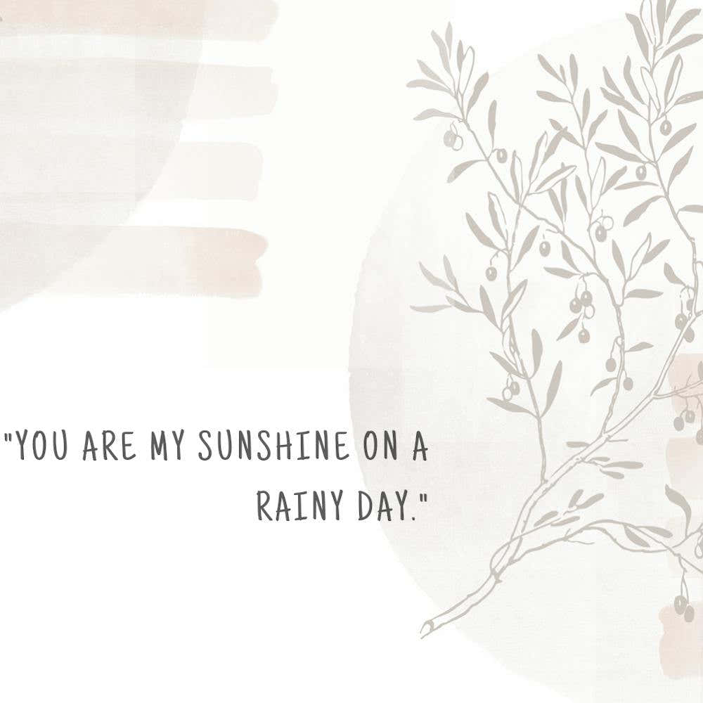 You Are My Sunshine On A Rainy Day 1