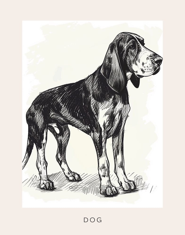 Black And Tan Line Sketch 1 Poster