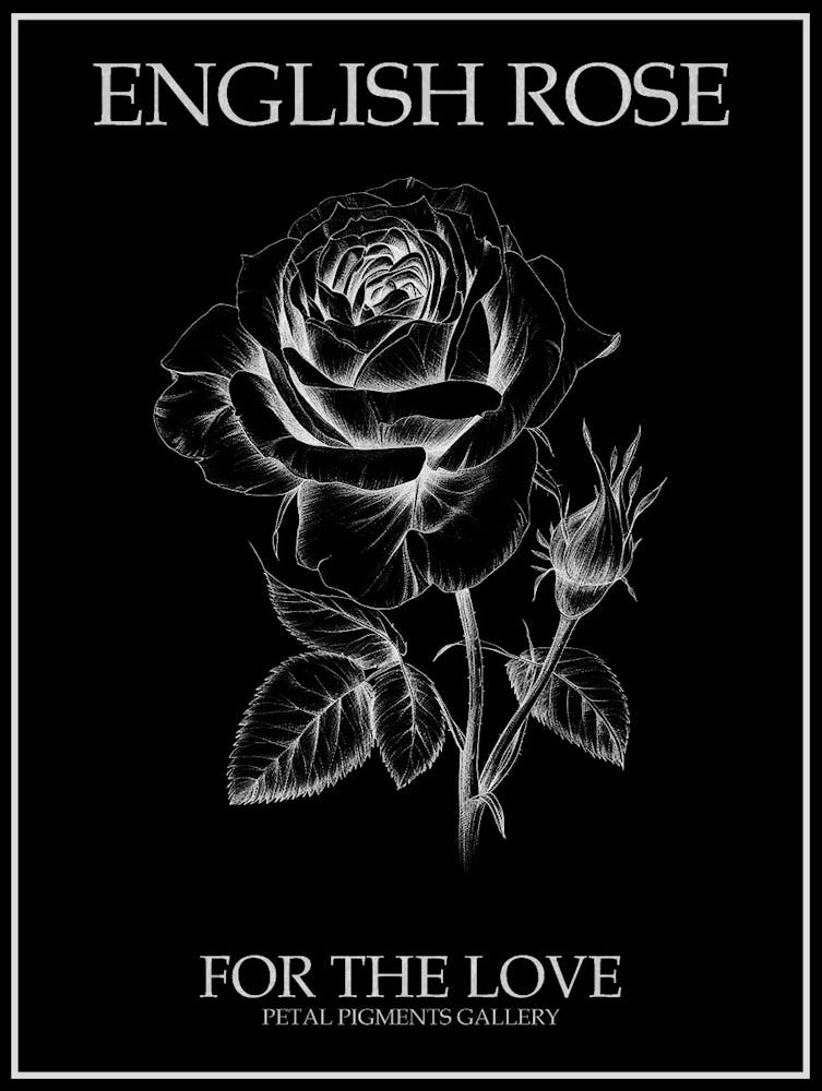English Rose Black And White Line Drawing 8 Poster Inverted