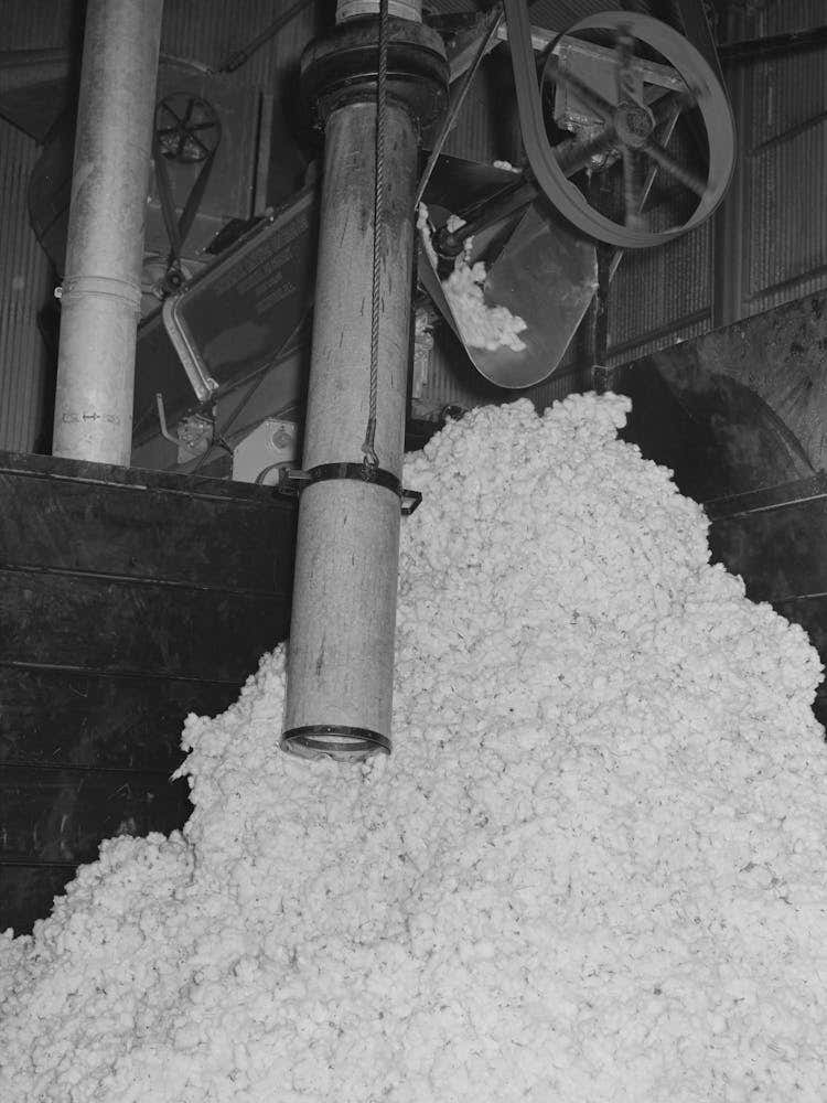 Suction Pipe And Raw Cotton At Gin, Lake Dick Project, Arkansas By Russell Lee