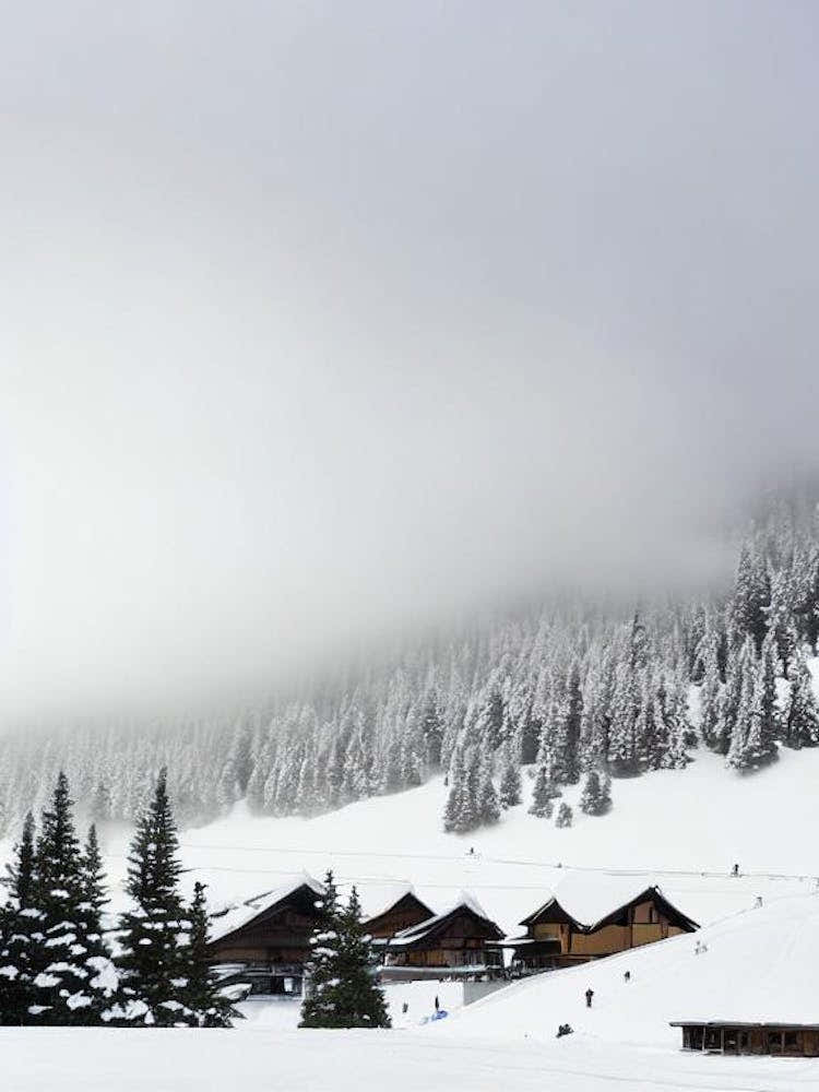 Naeba, Japan Black And White Skiing Poster
