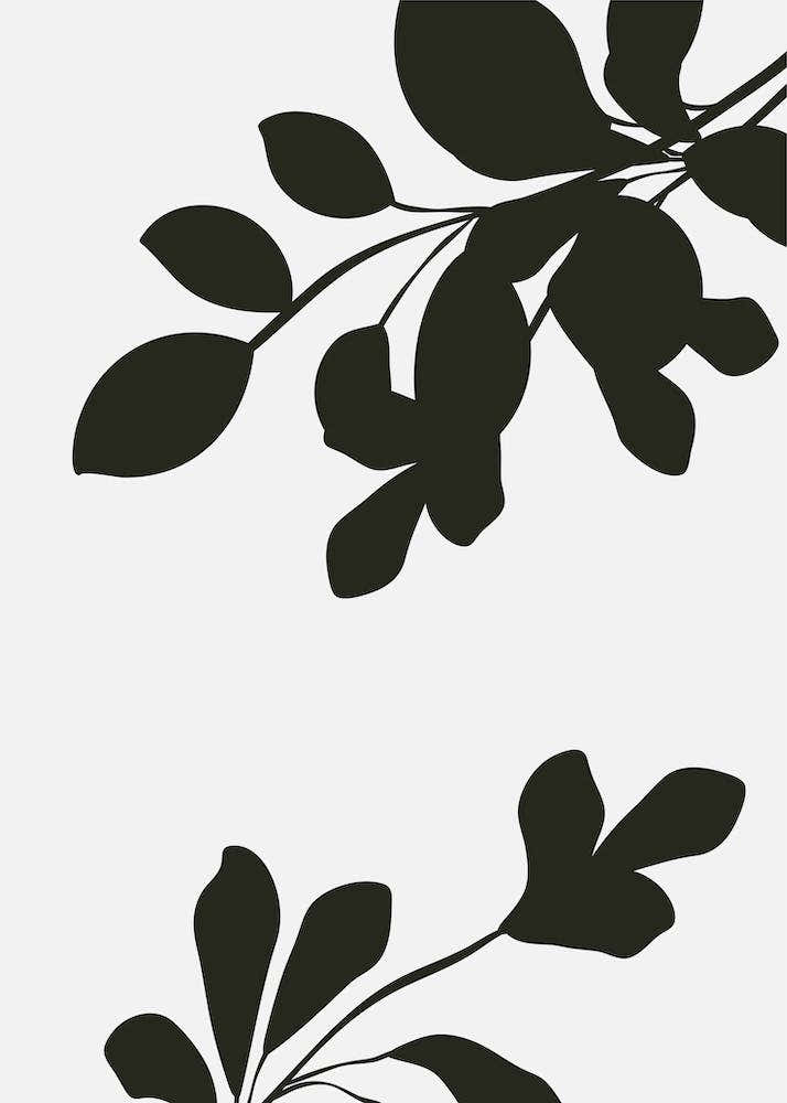Abstract Botanical Black and Beige Art 12