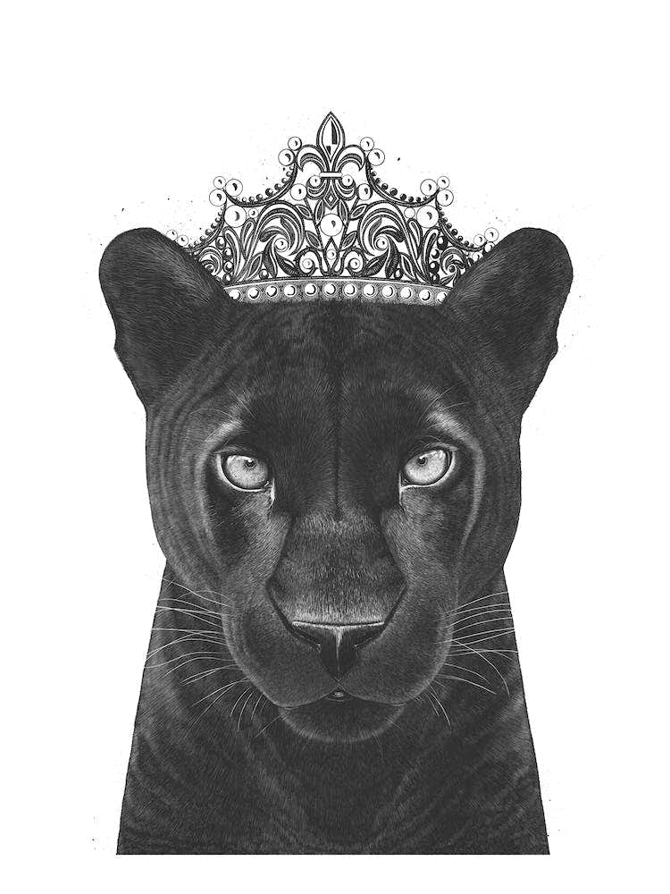 The Queen Panther