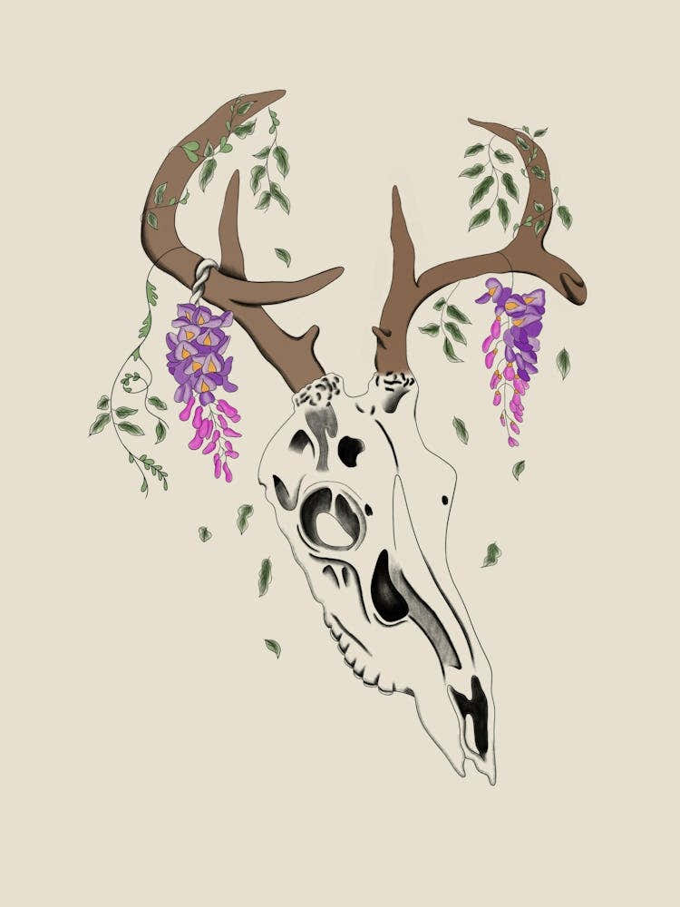 Deer Skull With Wisteria