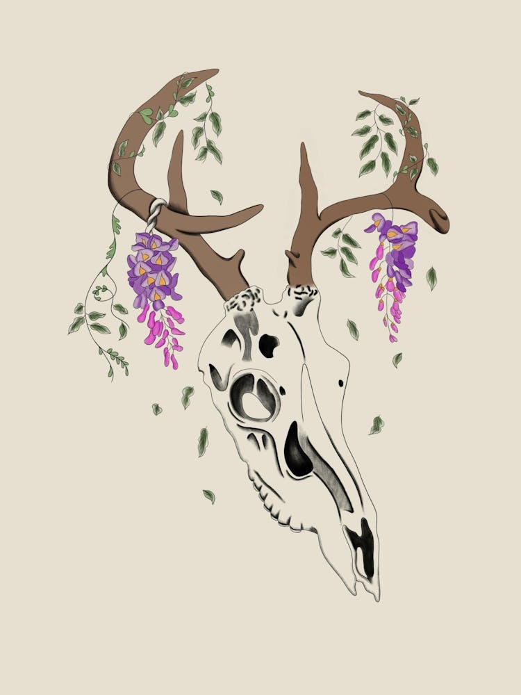Deer Skull With Wisteria