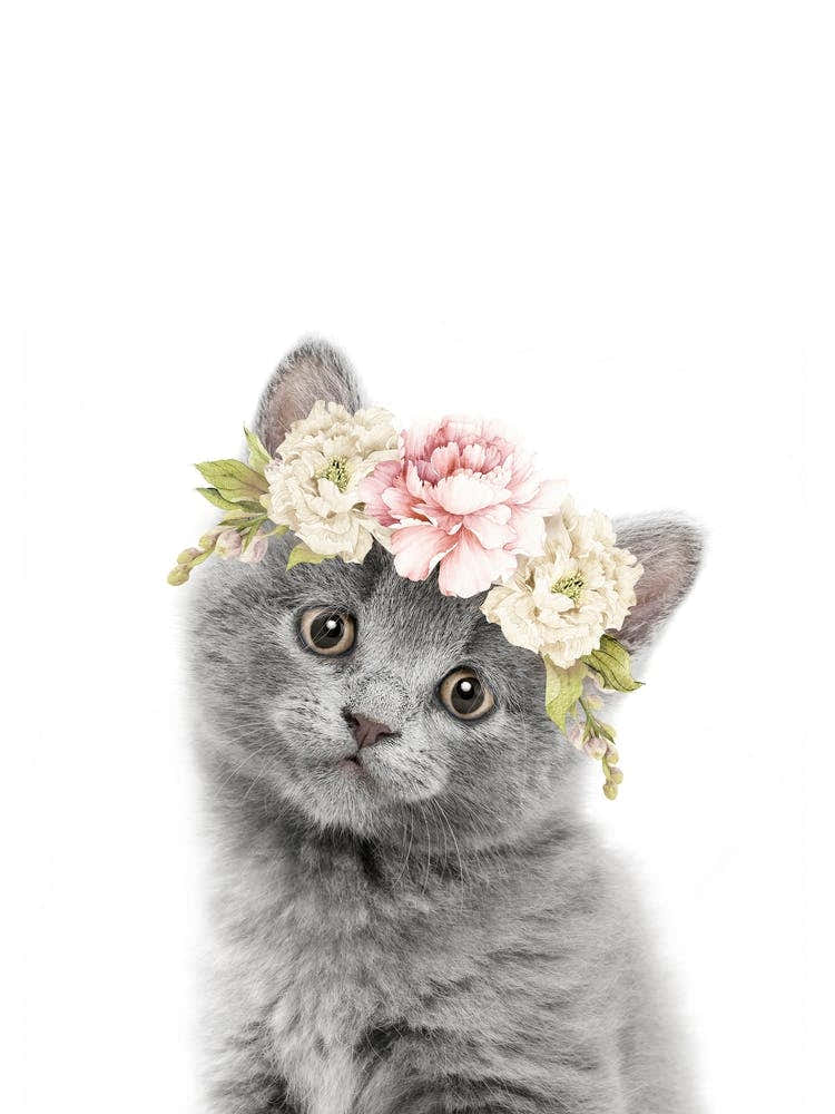 Peekaboo Floral Grey Kitten