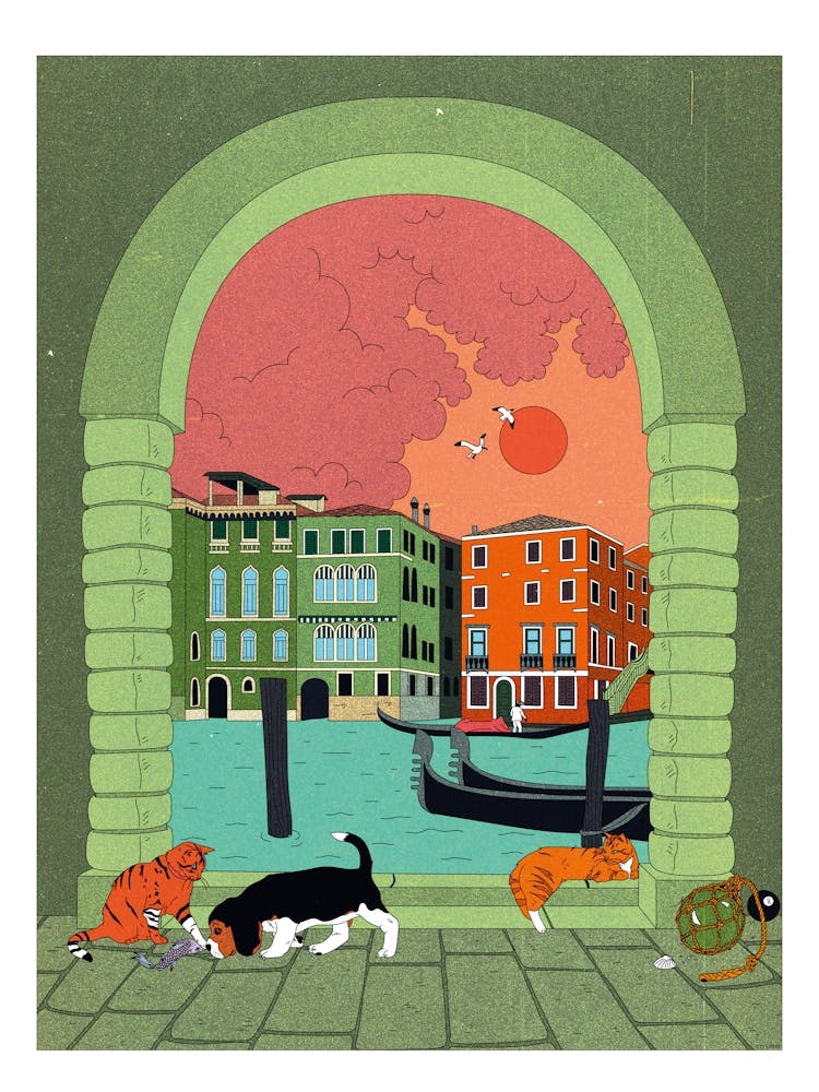 Venezia, Cats, Dogs
