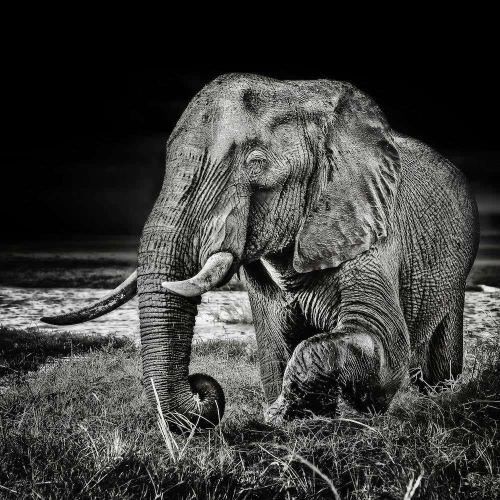 Sunset At The Waterhole