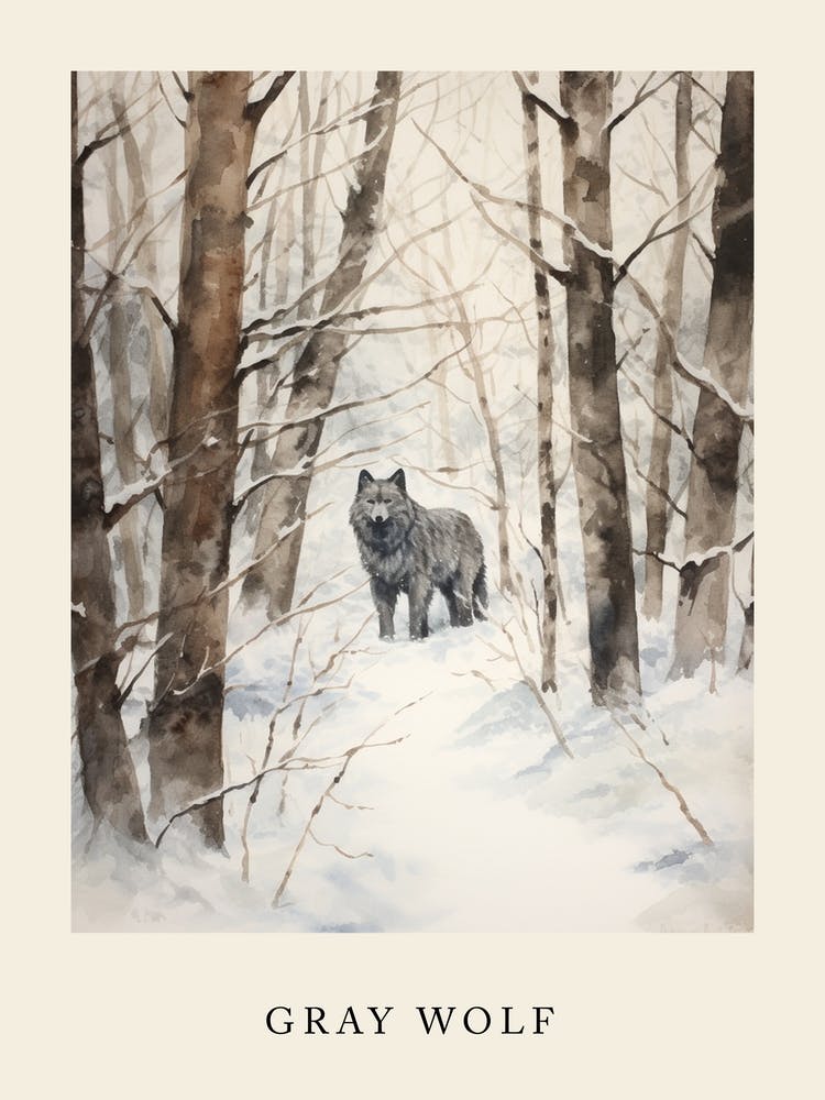 Winter Watercolour Gray Wolf 1 Poster