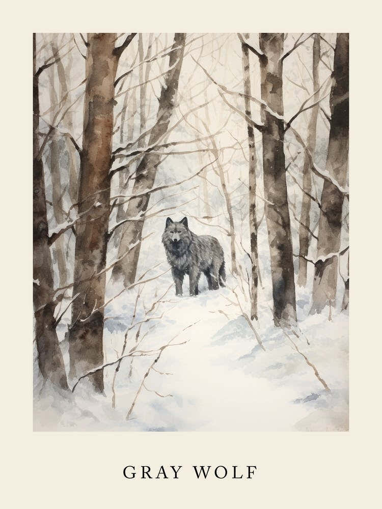 Winter Watercolour Gray Wolf 1 Poster