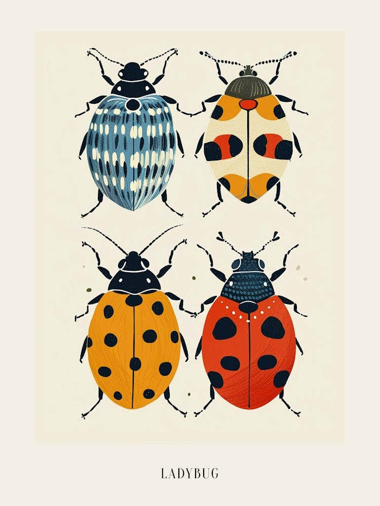 Colourful Insect Illustration Ladybug 13 Poster