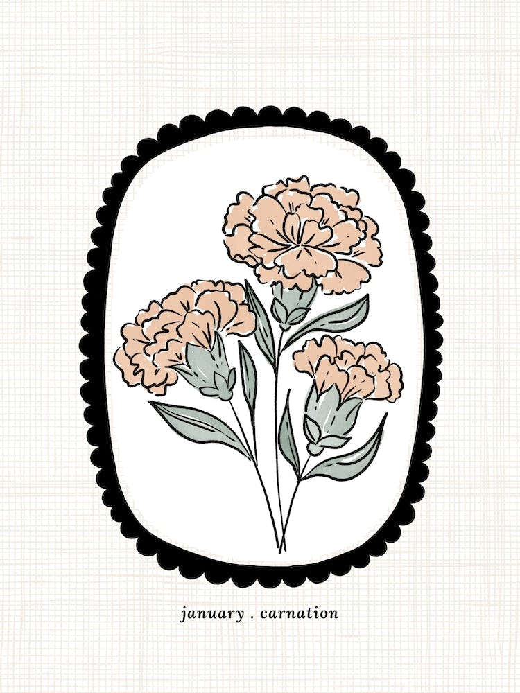 January Carnation Birth Flower