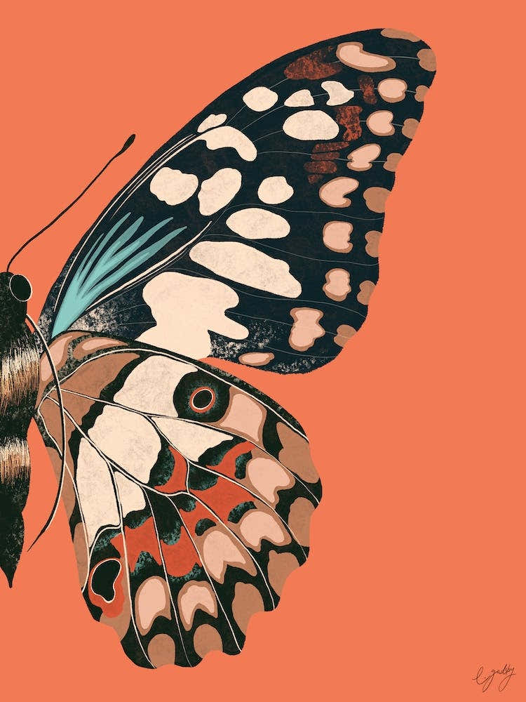 Butterfly Wing Coral Animal