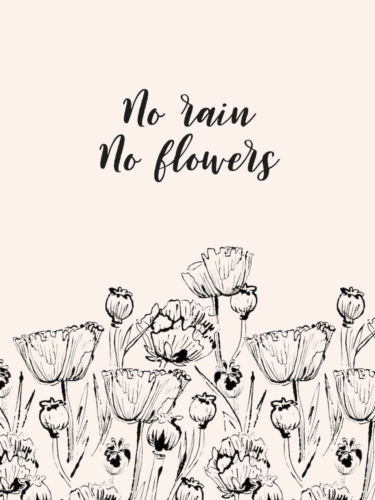 No Rain No Flowers