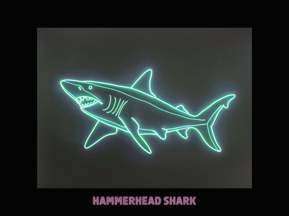 Green Pink Scalloped Hammerhead Neon Shark Poster 3