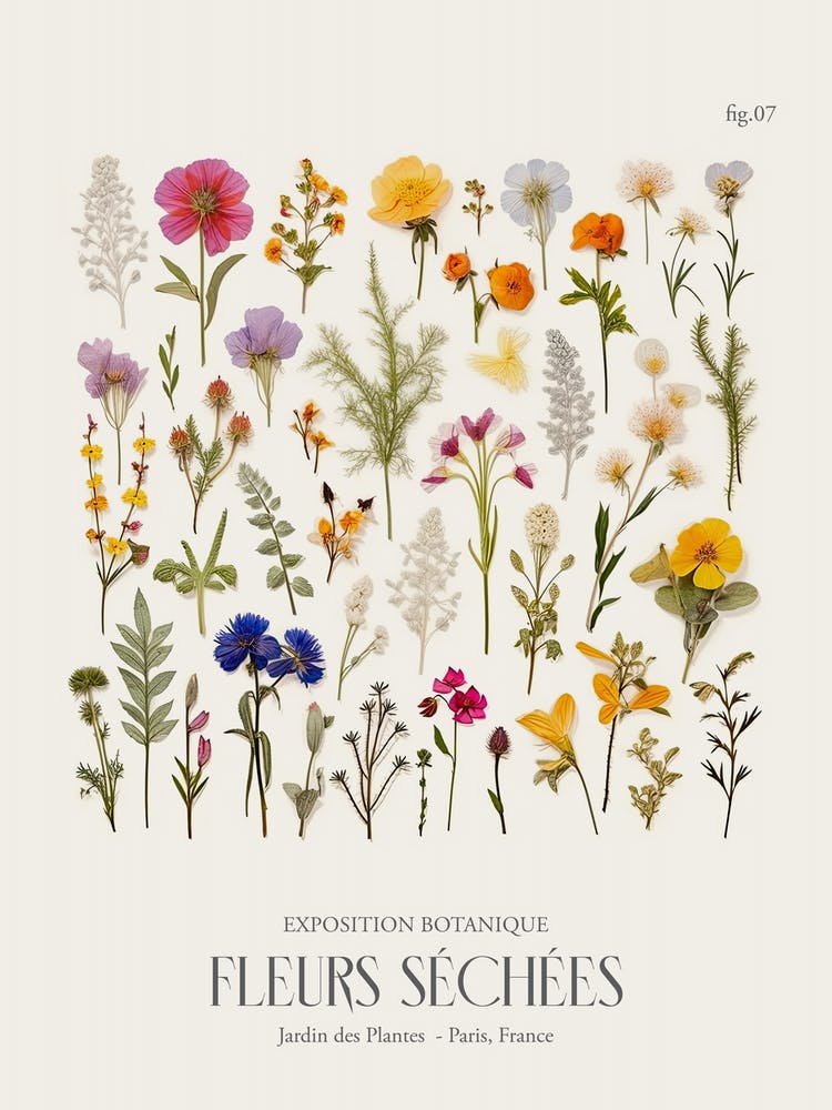 Fleurs Sechees, Dried Flowers Exhibition Poster 07