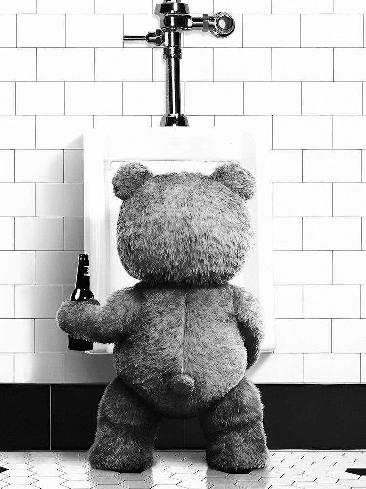 Teddy Bear Toilet