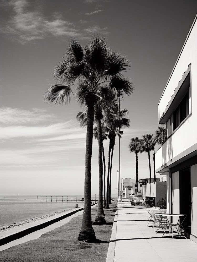 San Diego Black And White Analogue Photograph 4