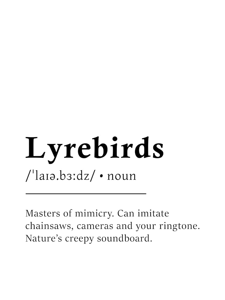 Lyrebirds Definition Poster - Dictionary