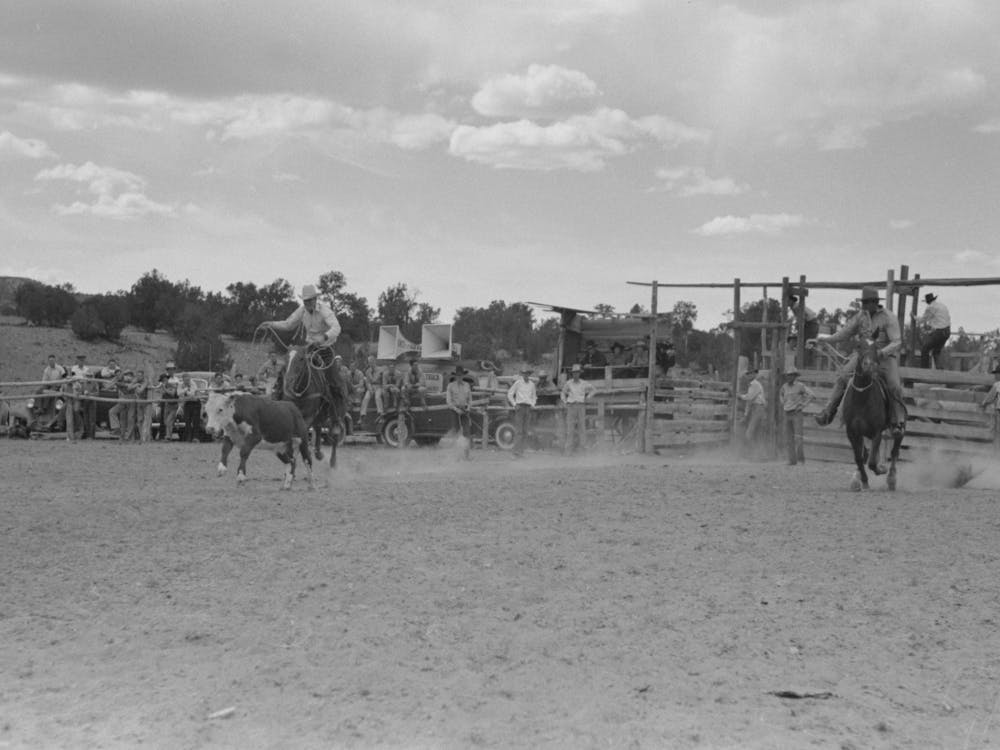 Calf Roping, Rodeo At Quemado, New Mexico By Russell Lee