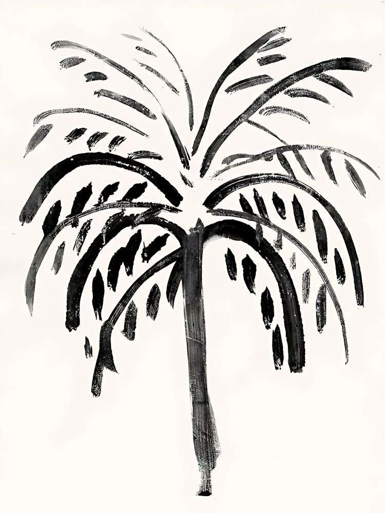 Palm Tree