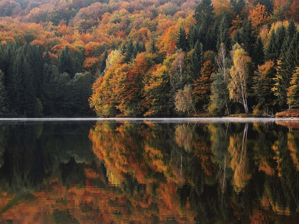 Autumn Forest Lake Reflection