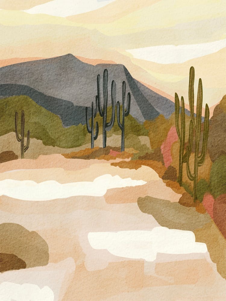 Cactus Desert