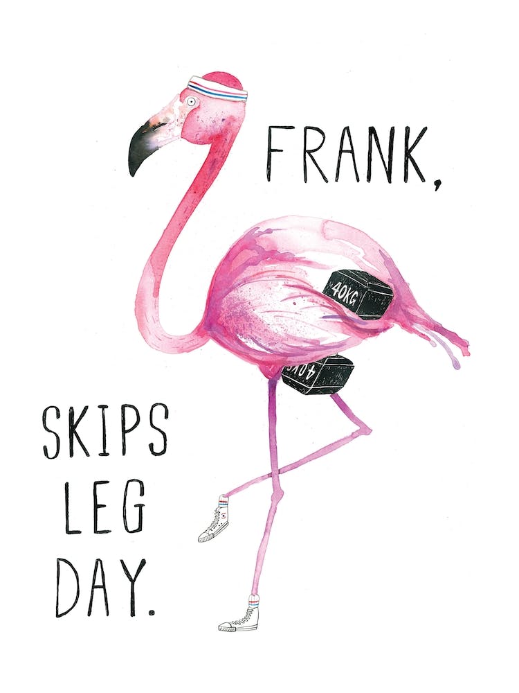 Flamingo Frank