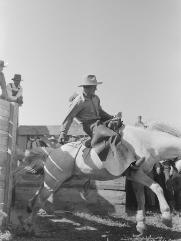 Untitled Photo, Possibly Related To Cowboy At Bean Day Rodeo, Wagon Mound, New Mexico By Russell Lee 2