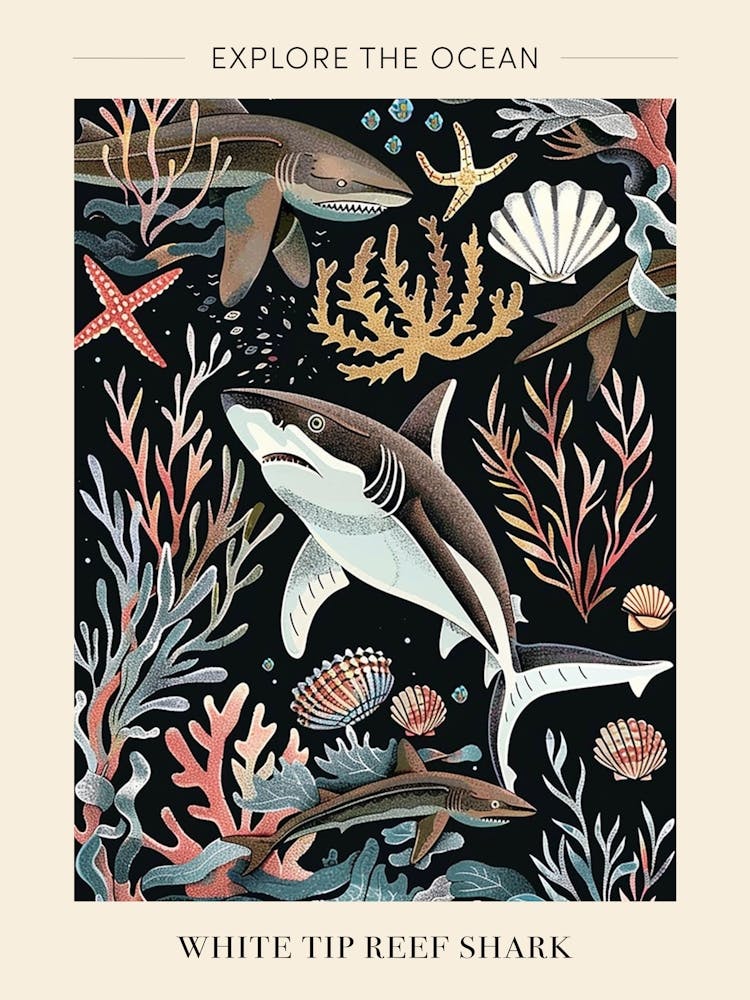 White Tip Reef Shark Seascape Black Background Illustration 1 Poster