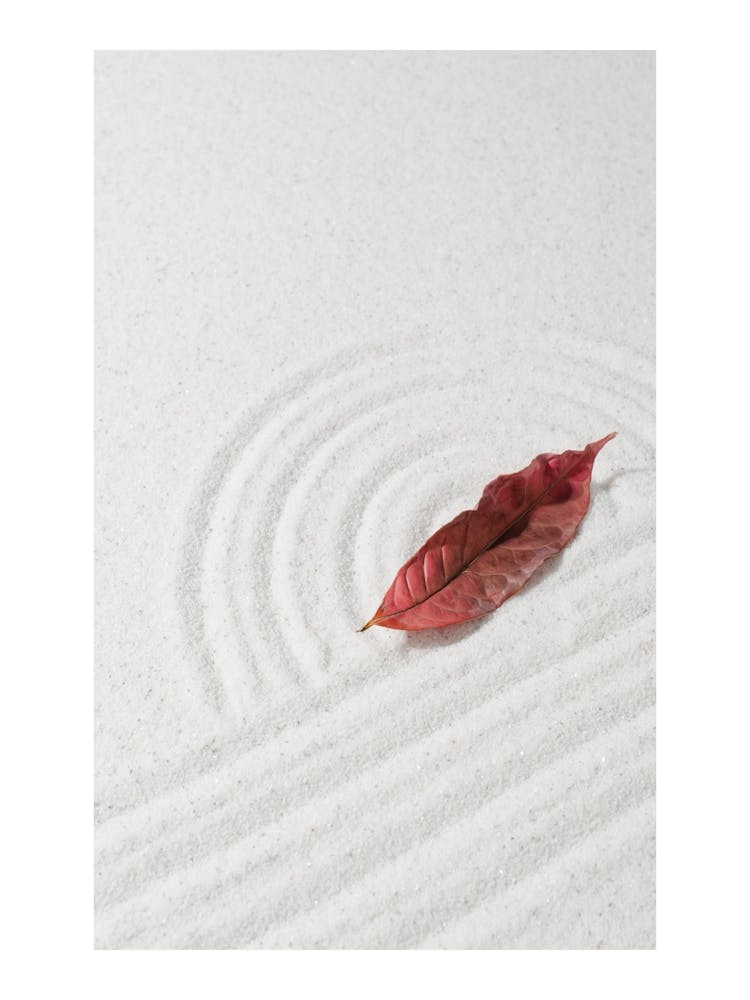Zen Garden