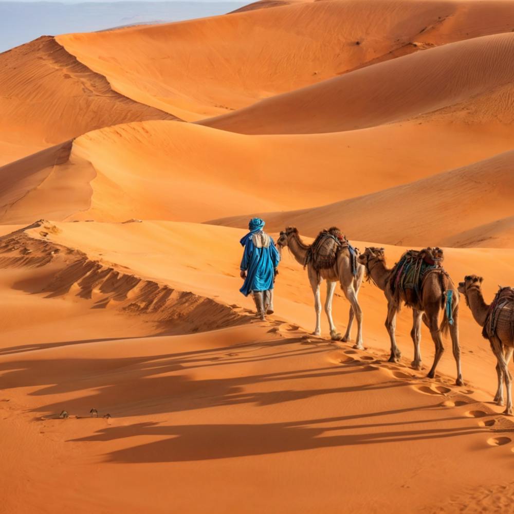 Camels In The Sahara