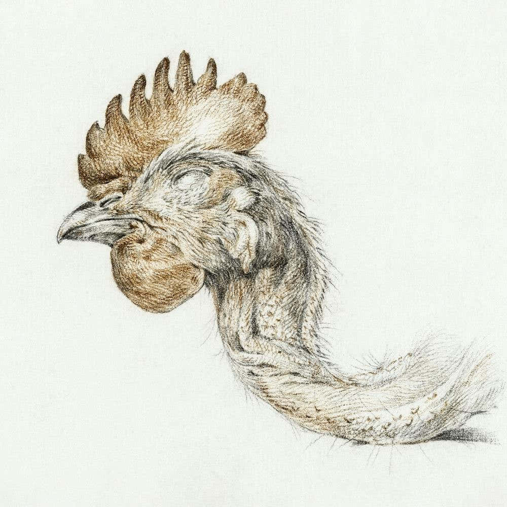 Head Of A Dead Chicken 1, Jean Bernard