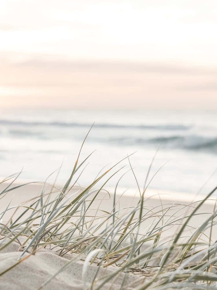 Pastel Beach Grass