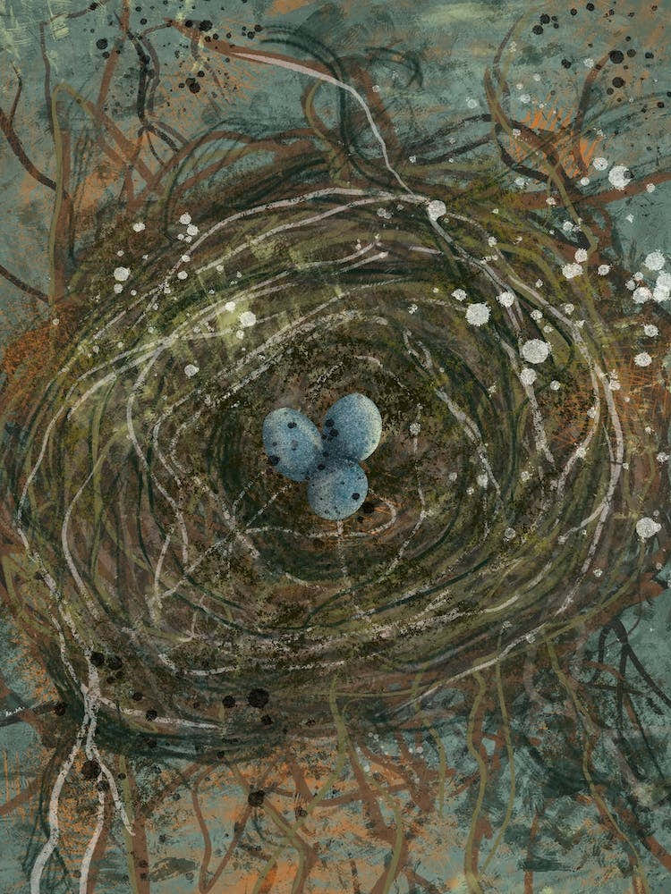 Robin'S Nest