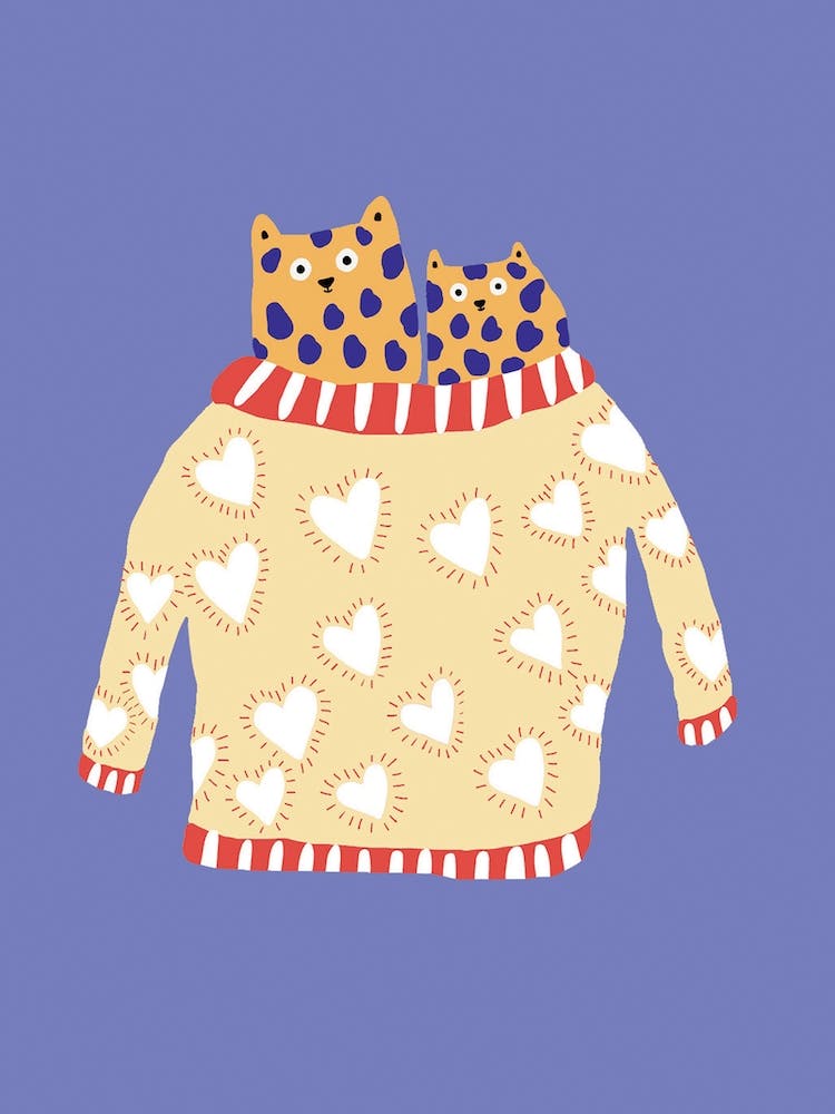 Cat Jumper