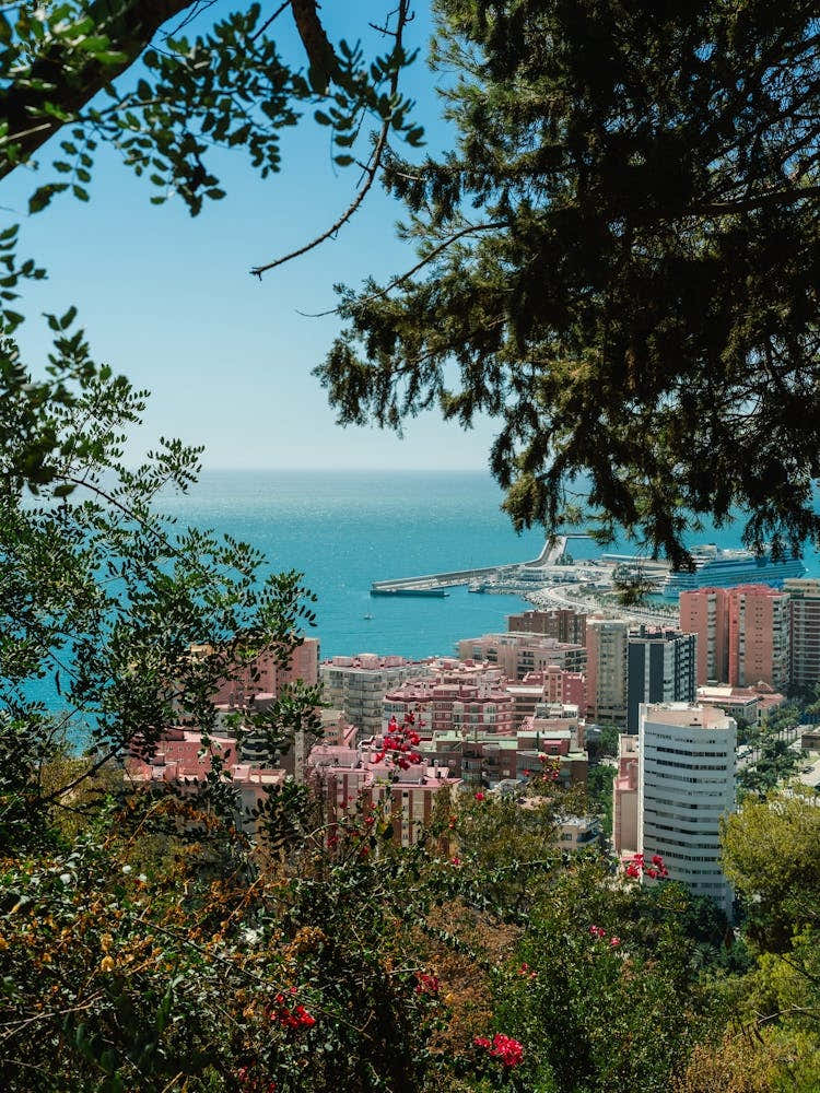 View Of The City, Malaga, Spain