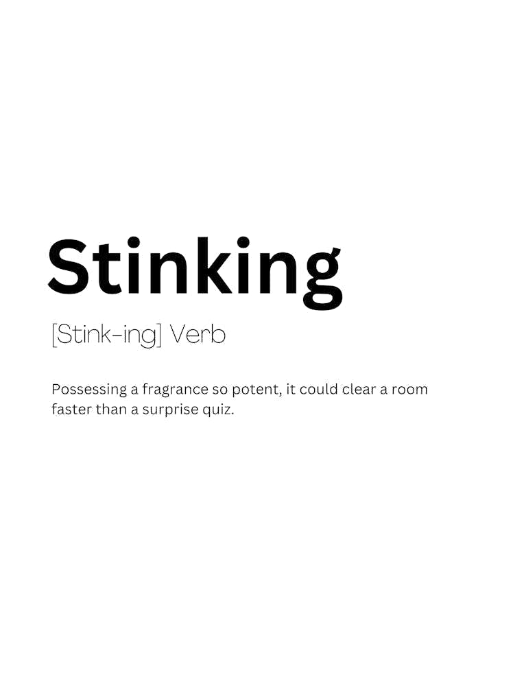 Stinking Definition Meaning