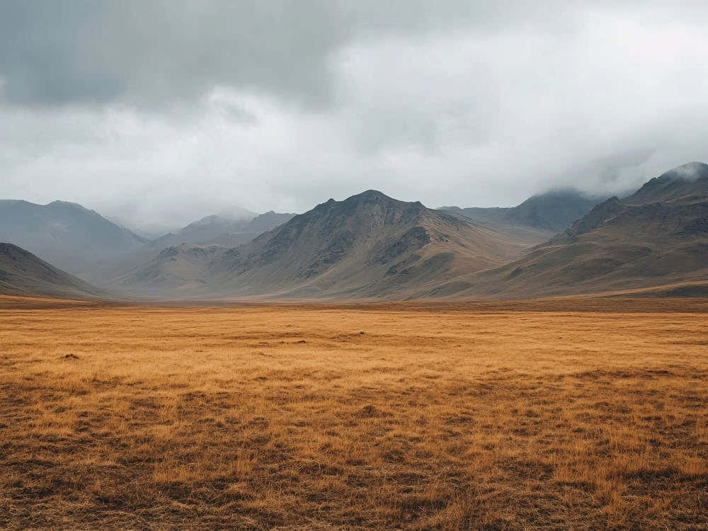 Landscape In The Mountains