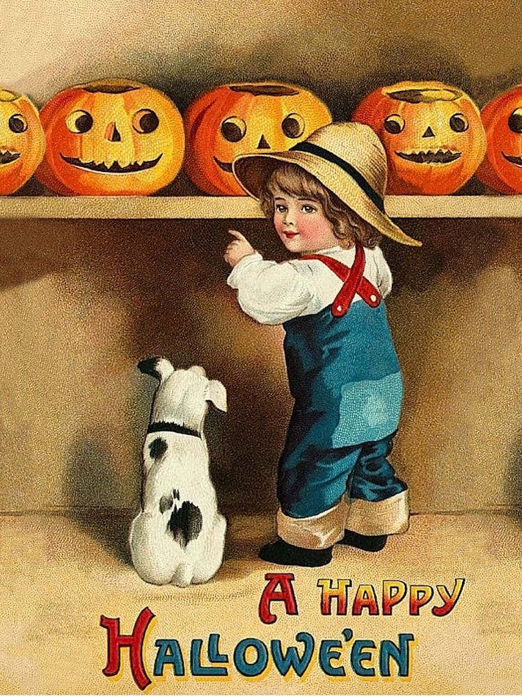 Happy Halloween, Little Boy Is Choosing The Best Pumpkin From A Shelf