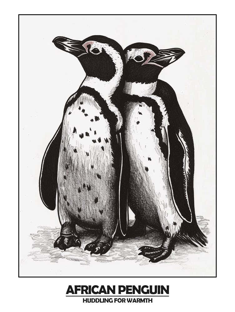 Penguin Huddling For Warmth Poster