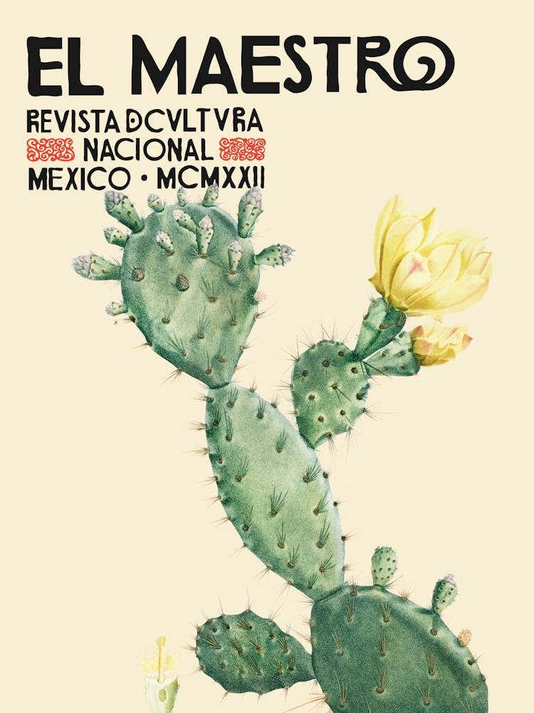 Mexican El Maestro Prickle Pear Cacuts Flower 2