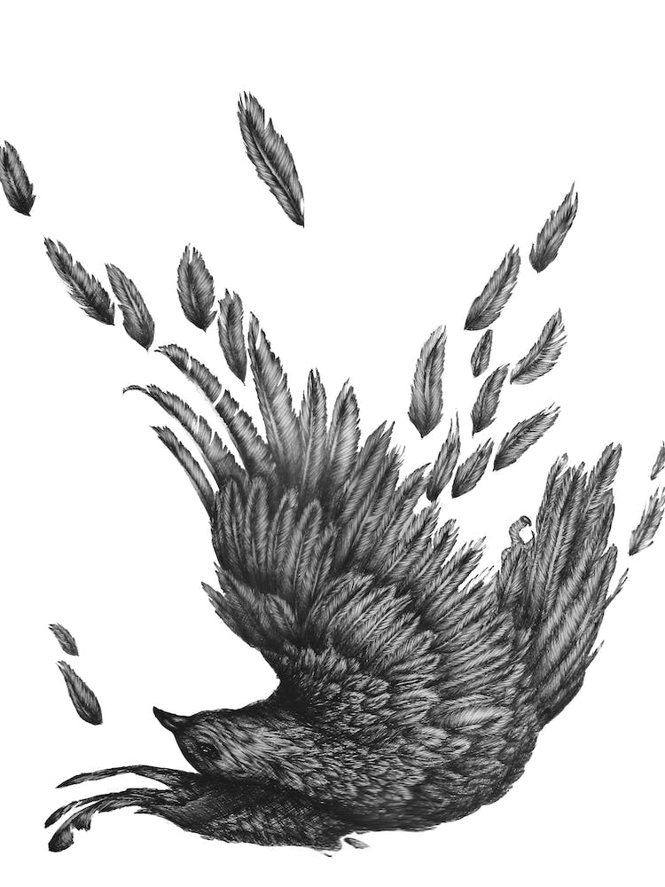 Raven Unravelled