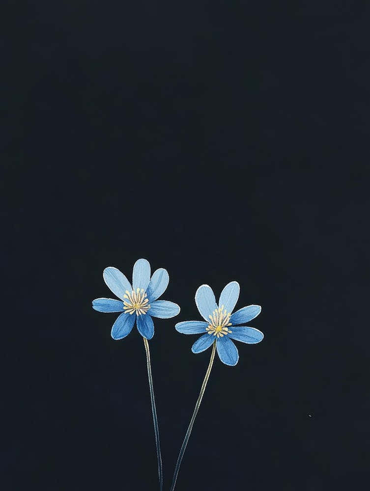 Two Blue Flowers On A Black Background