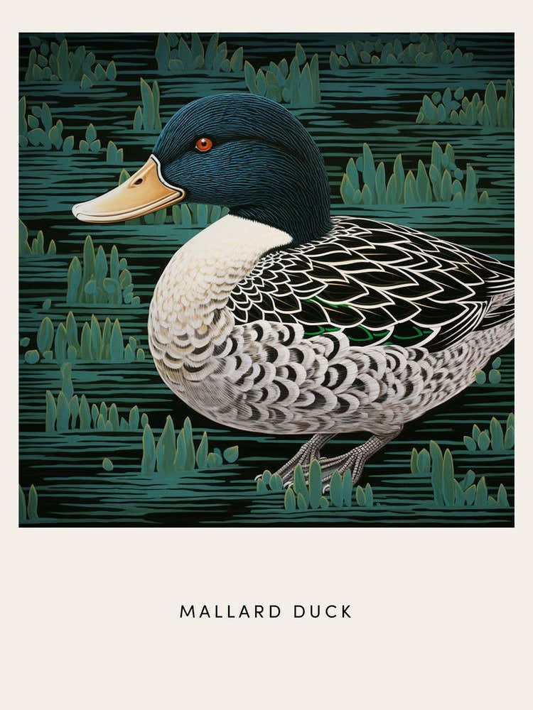 Ohara Koson Inspired Bird Painting Mallard Duck 4 Poster