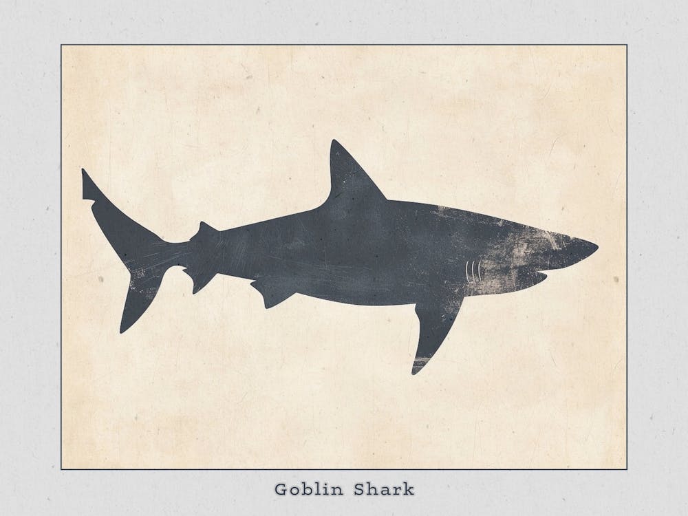 Goblin Shark Silhouette 2 Poster